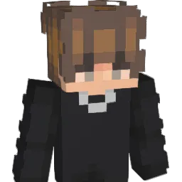 honkv
