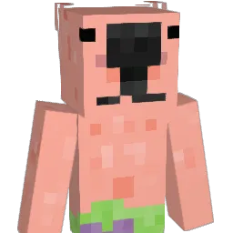 hoochieyaya Minecraft avatar bust