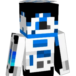 hoomanpickles1 Minecraft avatar bust