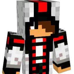hop306 Minecraft avatar bust