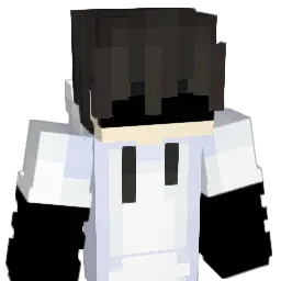 hoppapit29922373 Minecraft avatar bust