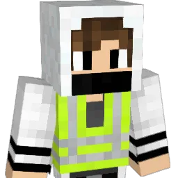 hord0317 Minecraft avatar bust