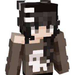 hoshi301 Minecraft avatar bust