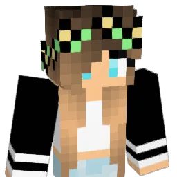 hotdog04 Minecraft avatar bust