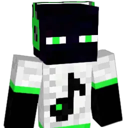 howdydudy1 Minecraft avatar bust
