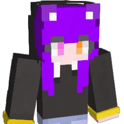 howol9 Minecraft avatar bust