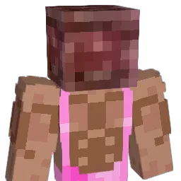 hquid520 Minecraft avatar bust