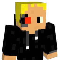 hr2001 Minecraft avatar bust