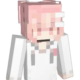 hrrn0x0's Minecraft skin