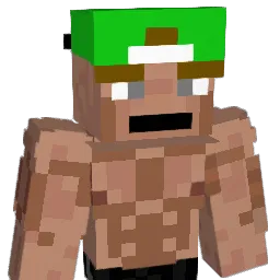 hsm127 Minecraft avatar bust