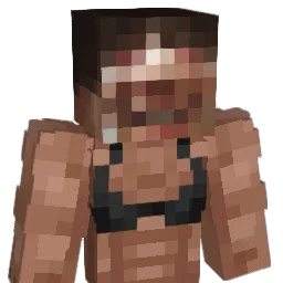 hsrSaMa Minecraft avatar bust