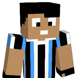 hsrpz Minecraft avatar bust
