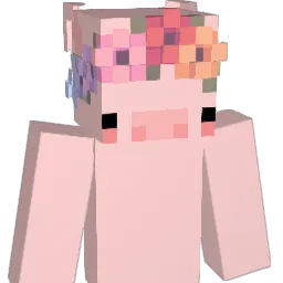 hsyoon_ Minecraft avatar bust