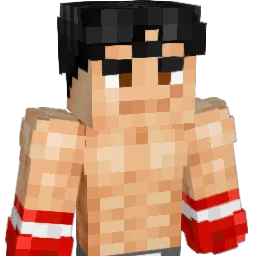 htran2's Minecraft skin