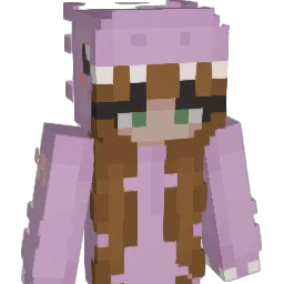 https_houle's Minecraft skin