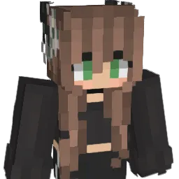 httpserror_ Minecraft avatar bust