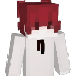 hu_er_ Minecraft avatar bust