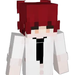 hu_yi_ Minecraft avatar bust