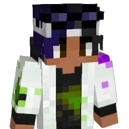 hubcio78922 Minecraft avatar bust