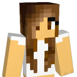 hubsi45 Minecraft avatar bust
