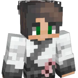 hubssi Minecraft avatar bust