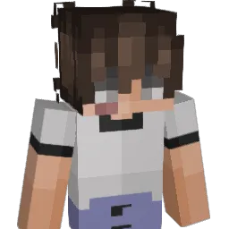 huebschwerlen Minecraft avatar bust