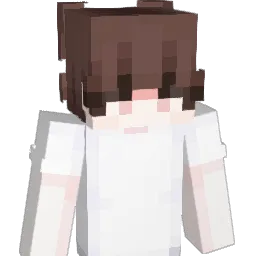 huli101 Minecraft avatar bust