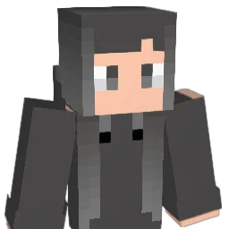 hull1106 Minecraft avatar bust