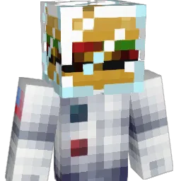 hunger3XD Minecraft avatar bust