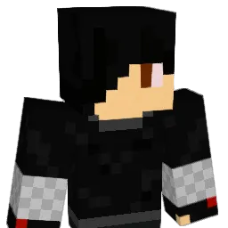 hunter21501 Minecraft avatar bust