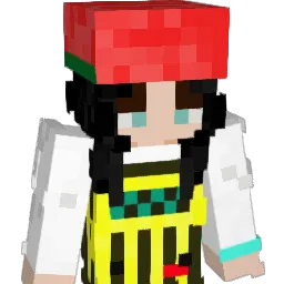 huub_i Minecraft avatar bust
