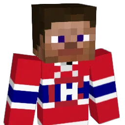 huxtss Minecraft avatar bust