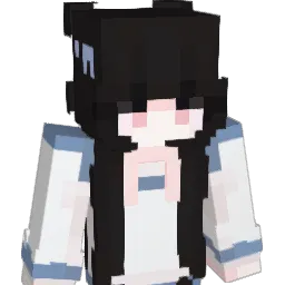 hvh6 Minecraft avatar bust