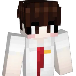 hwang2011 Minecraft avatar bust
