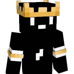 hwh1771 Minecraft avatar bust