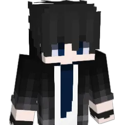 hwoo2655 Minecraft avatar bust