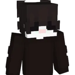 hxhp