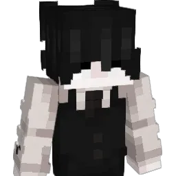 hxm659 Minecraft avatar bust