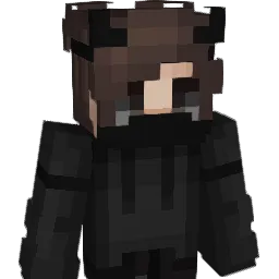 hxq35 Minecraft avatar bust