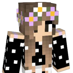hyperfun16's Minecraft skin