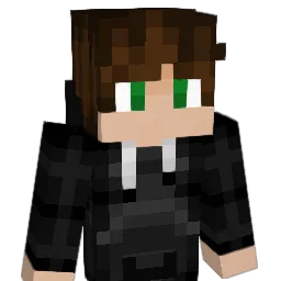 i2_rg Minecraft avatar bust