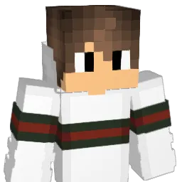 iAmFei Minecraft avatar bust