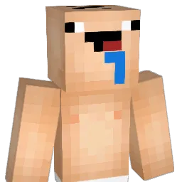 iBaRayne Minecraft avatar bust