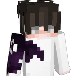 iBssr Minecraft avatar bust