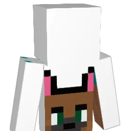 iBubble_ Minecraft avatar bust
