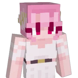 iD999 Minecraft avatar bust