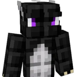 iDragon14 Minecraft avatar bust