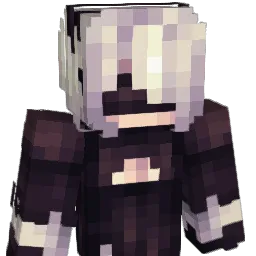 iDragonRc