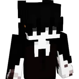 iDruix
