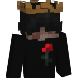 iDryzz